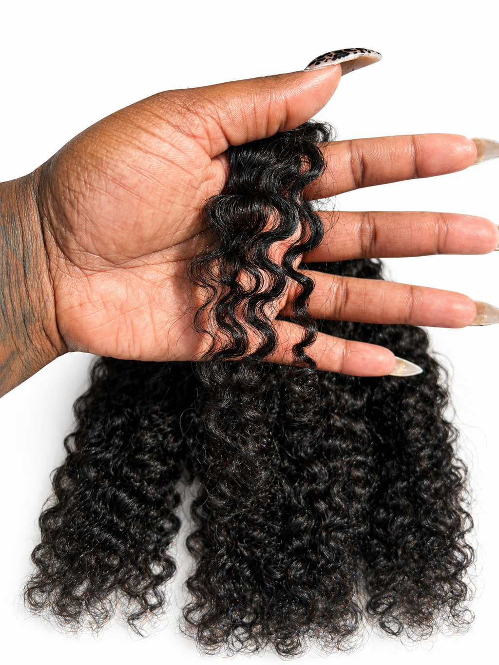 Raw Burmese Curly