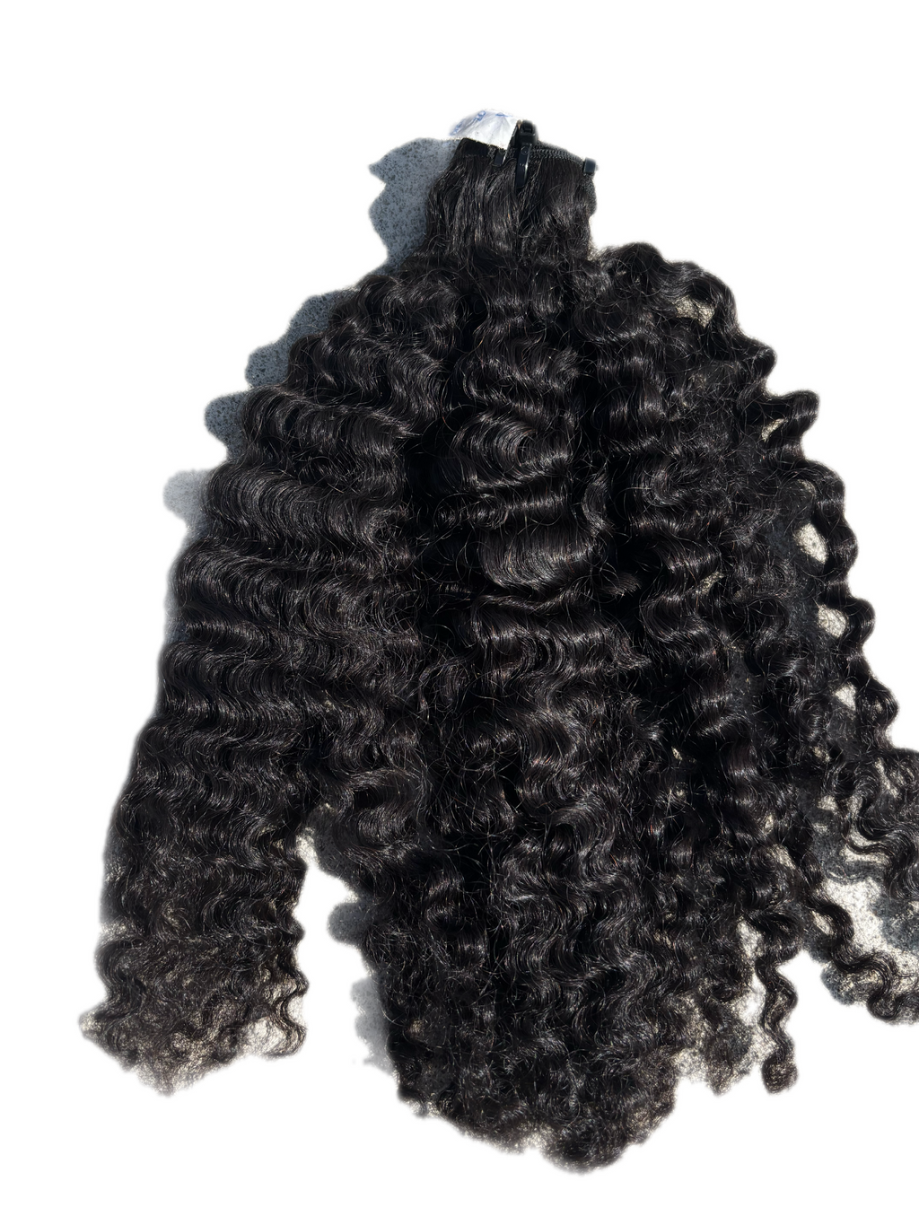 Raw Burmese Curly