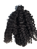 Raw Burmese Curly