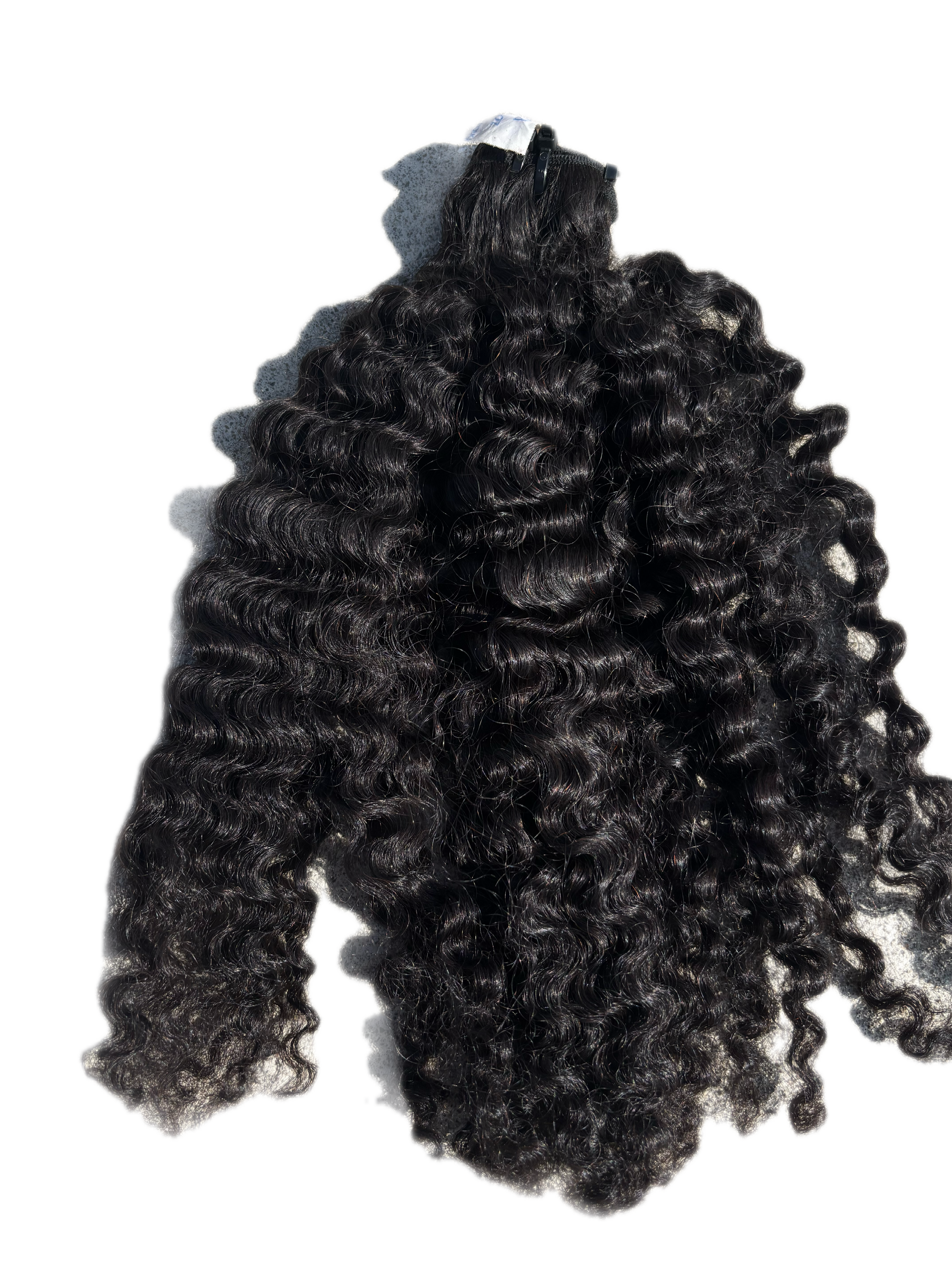 Raw Burmese Curly